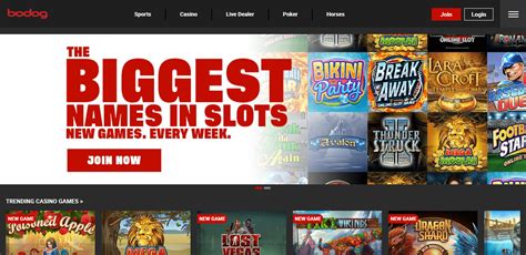 bodog sports canada|Poker, Sports Betting & Casino Games .